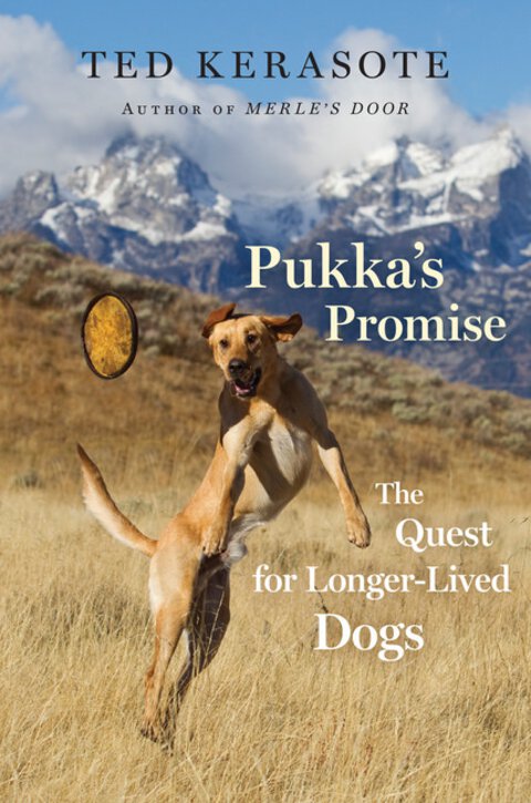 Pukka's Promise