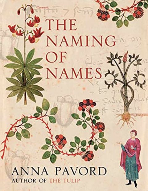 The Naming of Names