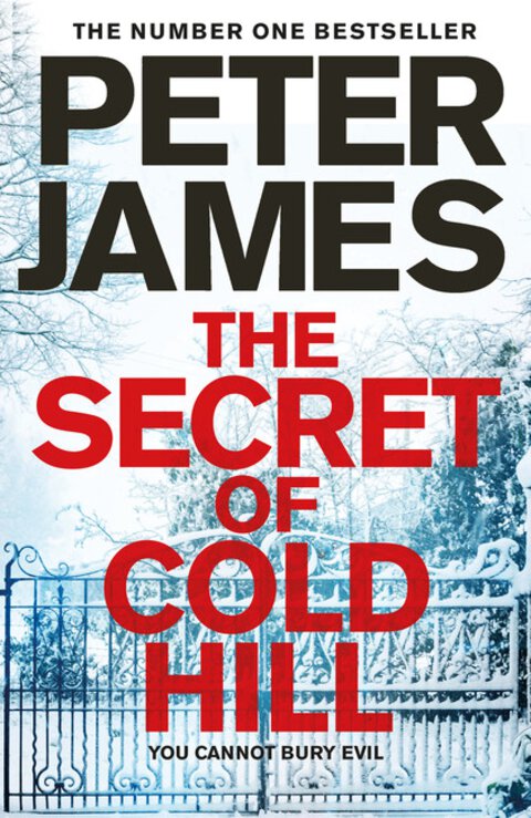 The Secret of Cold Hill (House on Cold Hill #2)