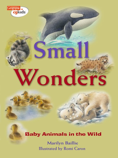 Small Wonders