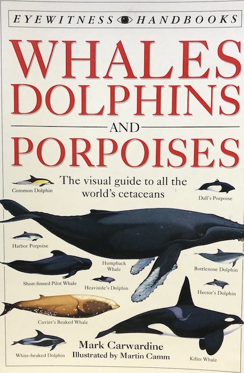 Whales and Dolphins and Porpoises